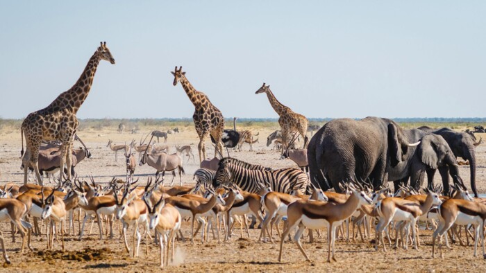 shutterstock_2011804925.jpg