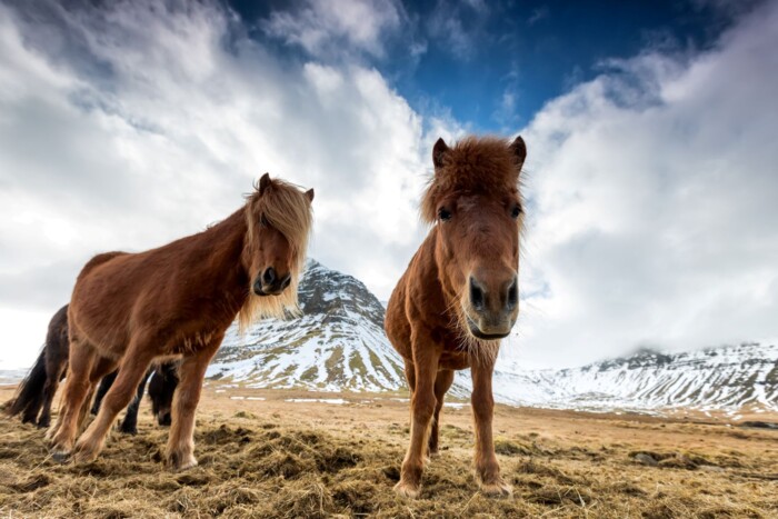 IS_Fotolia_166309588_M.jpg