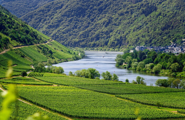 Domaine_Didier_Dagueneau.jpeg