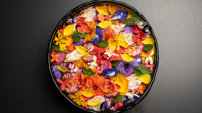 Ensalada-de-flores_&copy;Celele.png