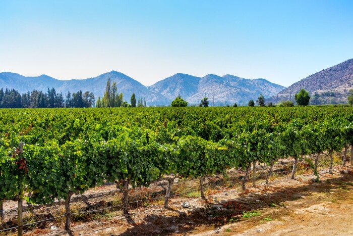 Chile-Maipo-Tal.jpg